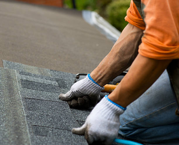 Best Shingle Roofing Installation  in USA